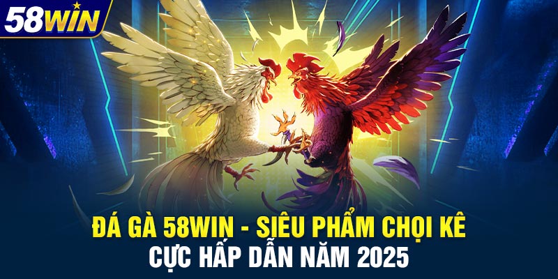 Giới thiệu sảnh đá gà 58WIN Giới thiệu sảnh đá gà 58WIN