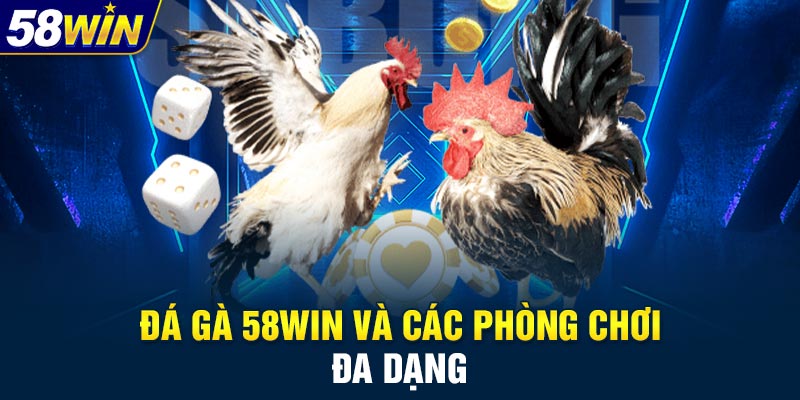 Những sảnh đá gà hot nhất 58WIN