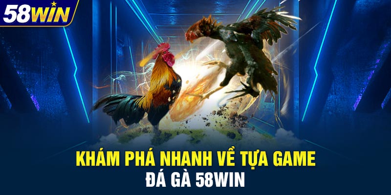Điểm cộng của sảnh đá gà 58WIN
